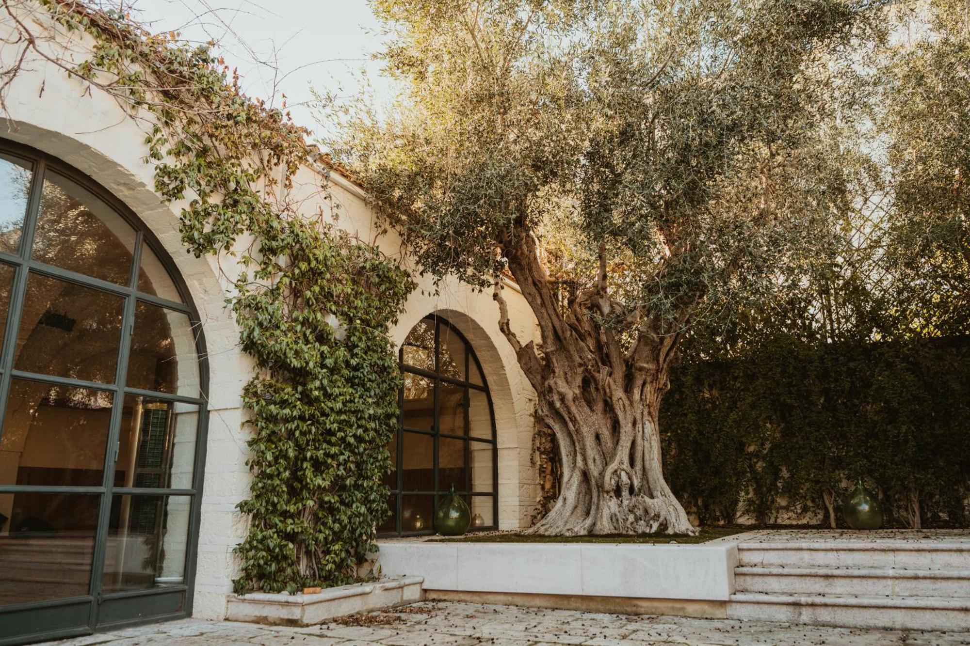 Gapo Rooms Orta Nova Exterior photo